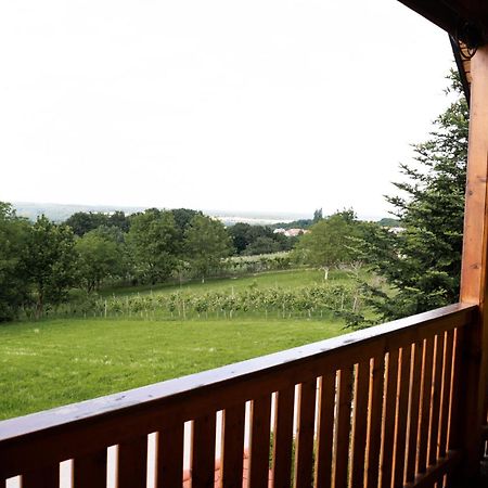 Apartma-Spa Natura Sveti Jurij ob Scavnici Buitenkant foto