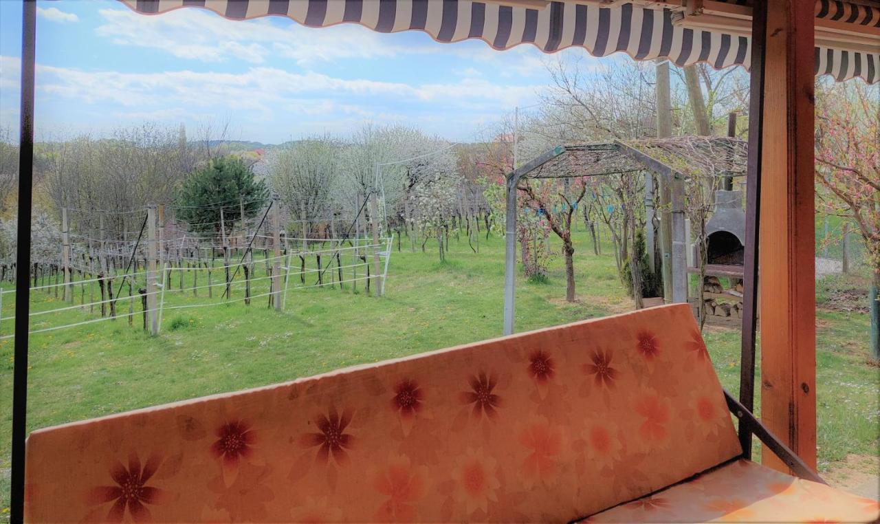 Apartma-Spa Natura Sveti Jurij ob Scavnici Buitenkant foto