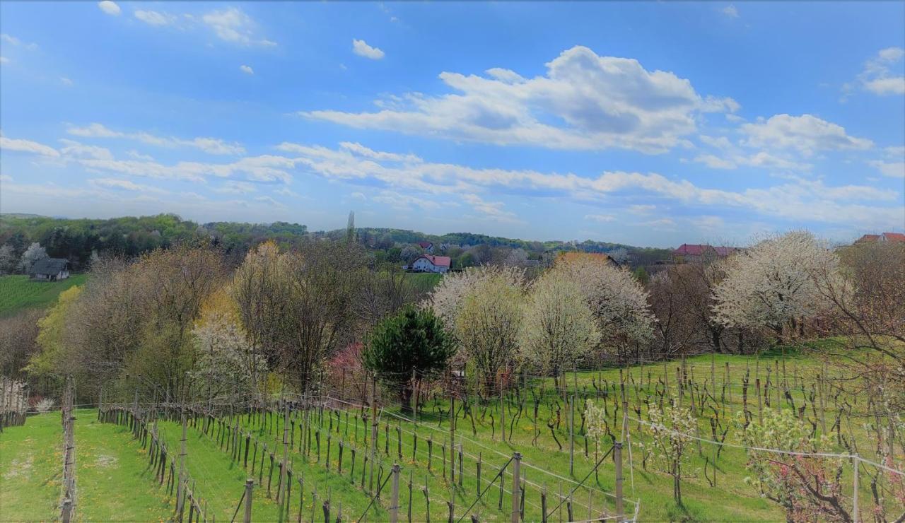 Apartma-Spa Natura Sveti Jurij ob Scavnici Buitenkant foto
