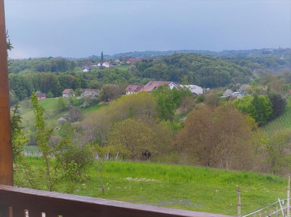 Apartma-Spa Natura Sveti Jurij ob Scavnici Buitenkant foto