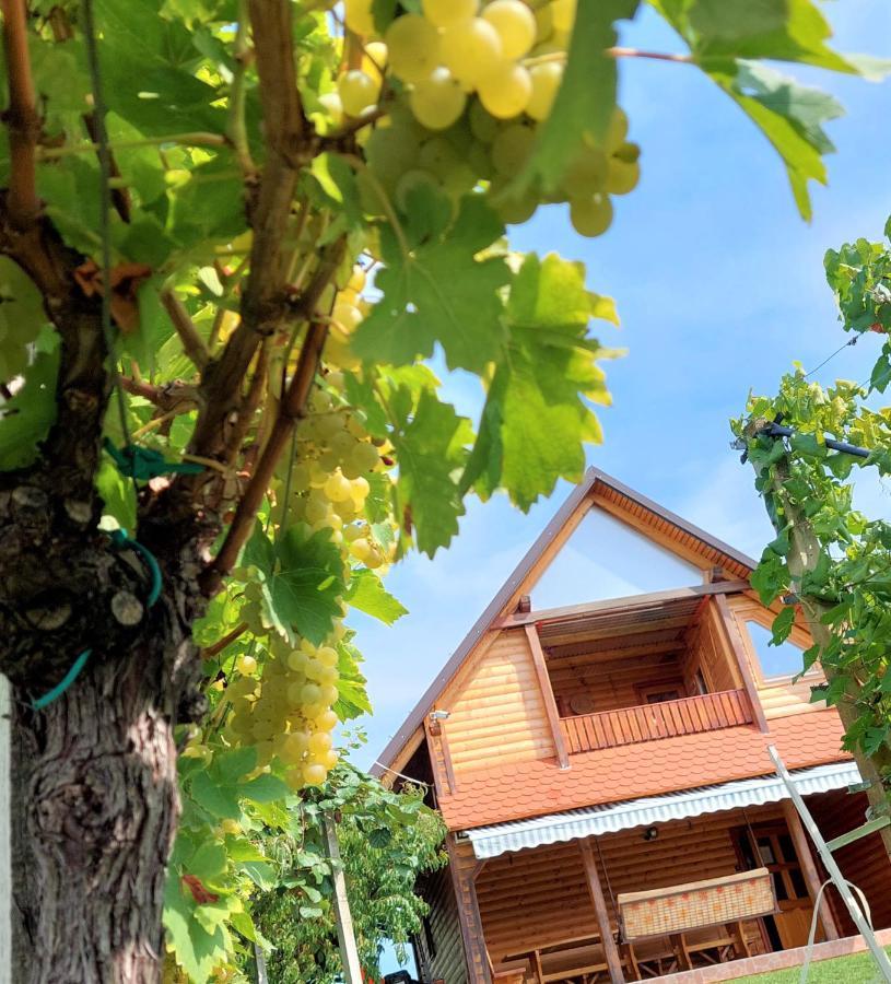 Apartma-Spa Natura Sveti Jurij ob Scavnici Buitenkant foto
