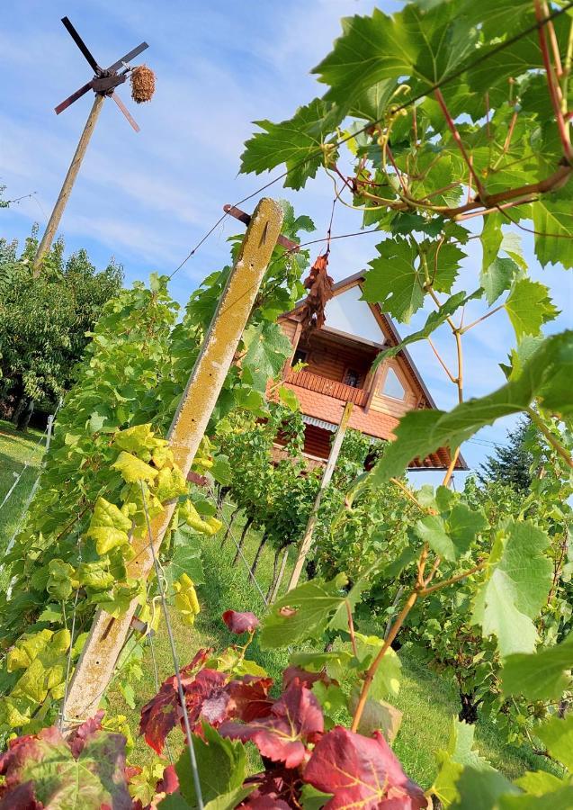 Apartma-Spa Natura Sveti Jurij ob Scavnici Buitenkant foto